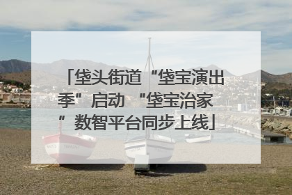 垡头街道“垡宝演出季”启动 “垡宝治家”数智平台同步上线