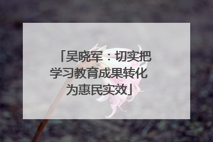 吴晓军：切实把学习教育成果转化为惠民实效