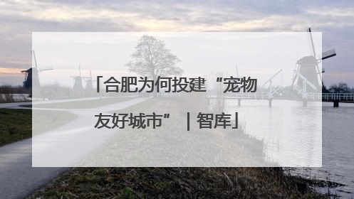 合肥为何投建“宠物友好城市”｜智库
