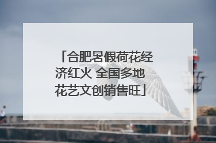 合肥暑假荷花经济红火 全国多地花艺文创销售旺
