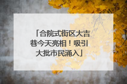 合院式街区大吉巷今天亮相！吸引大批市民涌入