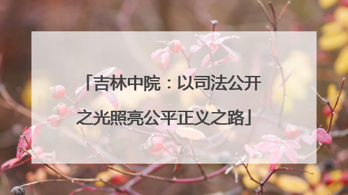 吉林中院：以司法公开之光照亮公平正义之路