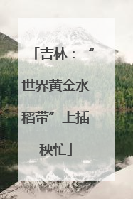 吉林：“世界黄金水稻带”上插秧忙