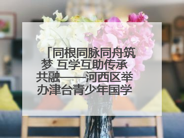 同根同脉同舟筑梦 互学互助传承共融——河西区举办津台青少年国学交流活动