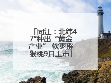 同江：北纬47°种出“黄金产业” 软枣猕猴桃9月上市
