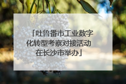 吐鲁番市工业数字化转型考察对接活动在长沙市举办