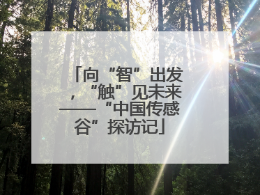 向“智”出发，“触”见未来——“中国传感谷”探访记