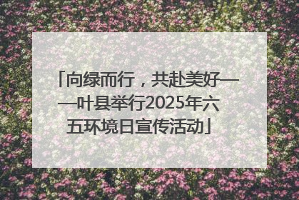 向绿而行，共赴美好——叶县举行2025年六五环境日宣传活动
