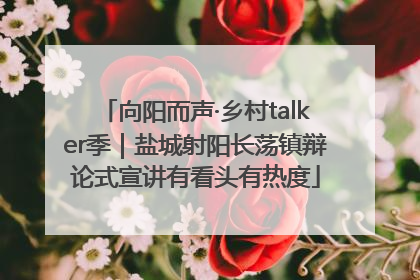 向阳而声·乡村talker季｜盐城射阳长荡镇辩论式宣讲有看头有热度