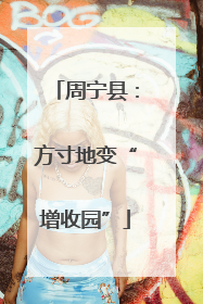 周宁县：方寸地变“增收园”