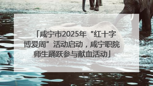 咸宁市2025年“红十字博爱周”活动启动，咸宁职院师生踊跃参与献血活动