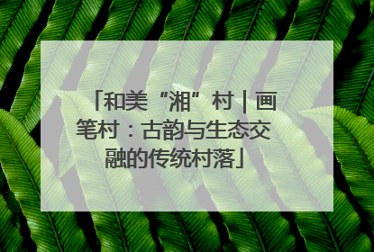 和美“湘”村｜画笔村：古韵与生态交融的传统村落