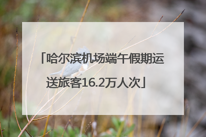 哈尔滨机场端午假期运送旅客16.2万人次