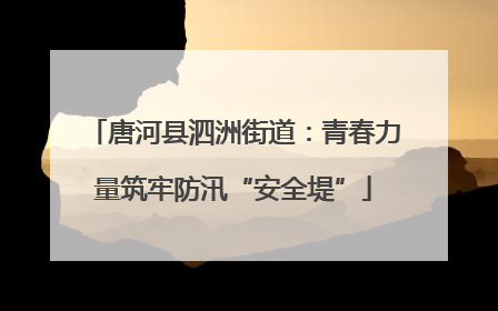 唐河县泗洲街道：青春力量筑牢防汛“安全堤”