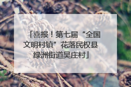 喜报！第七届“全国文明村镇”花落民权县绿洲街道吴庄村
