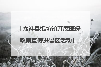 嘉祥县纸坊镇开展医保政策宣传进景区活动