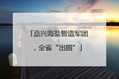 嘉兴海盐智造军团，全省“出圈”