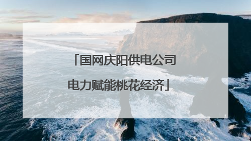 国网庆阳供电公司电力赋能桃花经济