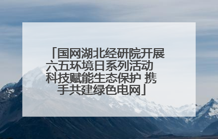 国网湖北经研院开展六五环境日系列活动 科技赋能生态保护 携手共建绿色电网