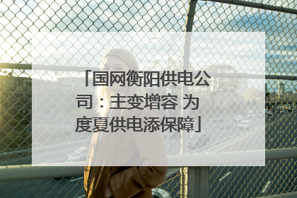 国网衡阳供电公司：主变增容 为度夏供电添保障