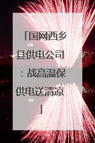 国网西乡县供电公司：战高温保供电送清凉
