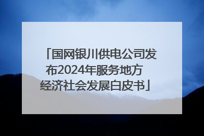 国网银川供电公司发布2024年服务地方经济社会发展白皮书