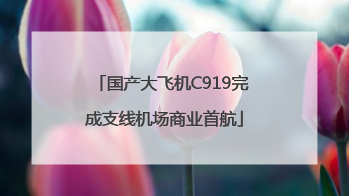 国产大飞机C919完成支线机场商业首航