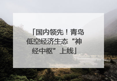 国内领先！青岛低空经济生态“神经中枢”上线