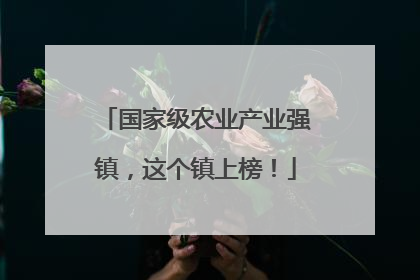 国家级农业产业强镇，这个镇上榜！