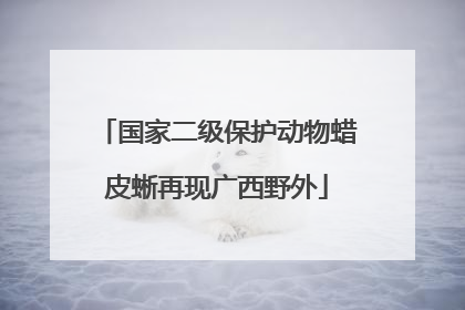 国家二级保护动物蜡皮蜥再现广西野外