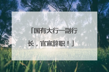 国有大行一副行长，官宣辞职！
