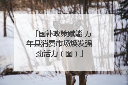 国补政策赋能 万年县消费市场焕发强劲活力（图）