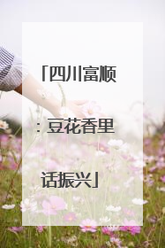 四川富顺：豆花香里话振兴