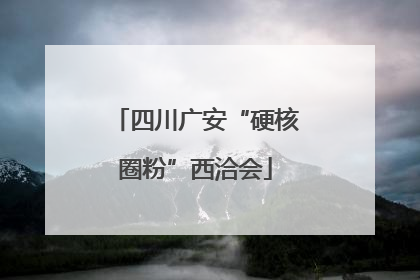 四川广安“硬核圈粉”西洽会