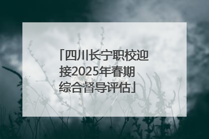 四川长宁职校迎接2025年春期综合督导评估