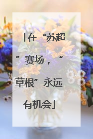在“苏超”赛场，“草根”永远有机会