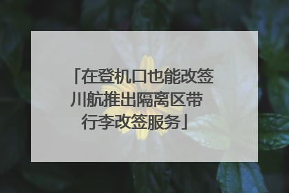 在登机口也能改签 川航推出隔离区带行李改签服务