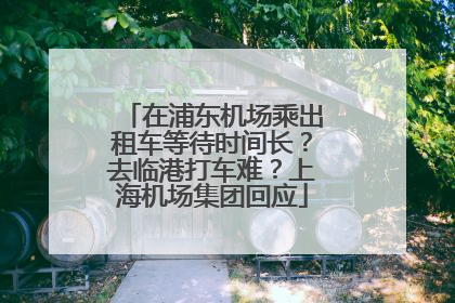 在浦东机场乘出租车等待时间长？去临港打车难？上海机场集团回应