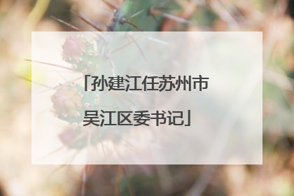 孙建江任苏州市吴江区委书记