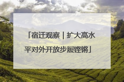 宿迁观察|扩大高水平对外开放步履铿锵