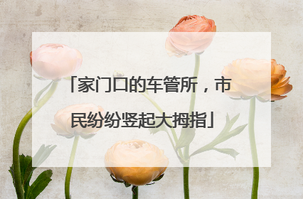 家门口的车管所，市民纷纷竖起大拇指