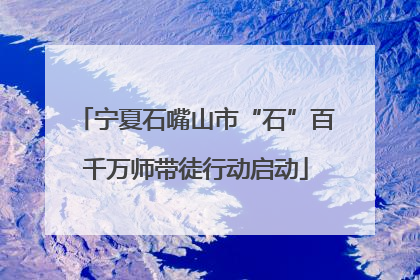 宁夏石嘴山市“石”百千万师带徒行动启动