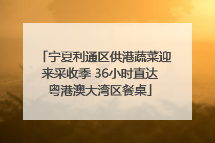 宁夏利通区供港蔬菜迎来采收季 36小时直达粤港澳大湾区餐桌