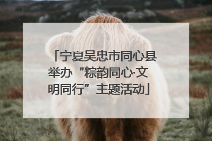 宁夏吴忠市同心县举办“粽韵同心·文明同行”主题活动