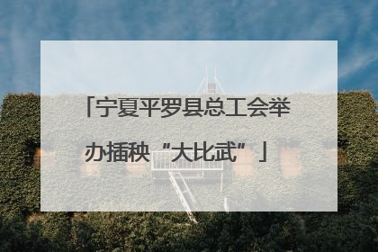 宁夏平罗县总工会举办插秧“大比武”