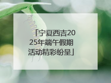 宁夏西吉2025年端午假期活动精彩纷呈