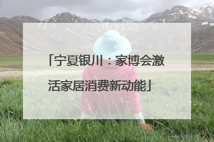 宁夏银川：家博会激活家居消费新动能
