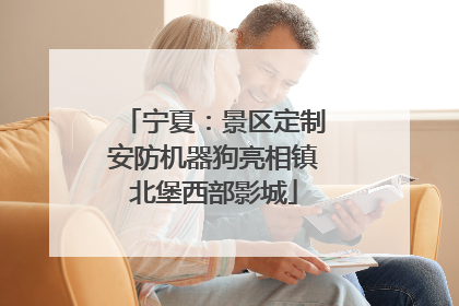 宁夏：景区定制安防机器狗亮相镇北堡西部影城