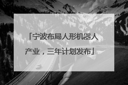 宁波布局人形机器人产业，三年计划发布