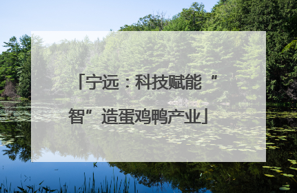 宁远：科技赋能“智”造蛋鸡鸭产业